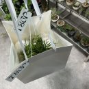 더서스오브파워 이미지