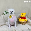 개털깎는마리오 이미지