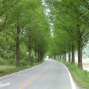 순창10경 이미지