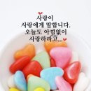 해밀언어.심리상담센터