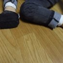 레오와 젠 이미지