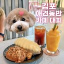김포 애견동반 카페 대피 후기｜실내 반려견 동반 가능한 대형카페
