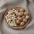 땅콩 동물병원 이미지