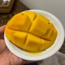 몰리홀릭 | 보홀 맛집 추천 리스트 메뉴추천 후기 ② 카페&디저트 편