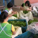 논공가톨릭치매센타 이미지