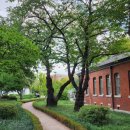 교회옆약국 이미지