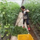 서면농장 이미지