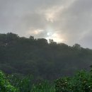 풍양지 | 추석 귀성, 귀향. 고향 선산 예초기 벌초 작업 후기.