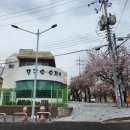 수미가통돼지 이미지