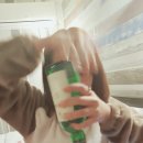 톰지호텔 이미지