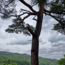 건봉사 | 강원도 절 가볼만한곳 고성 절 건봉사 첫 방문 솔직후기