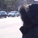 모던복싱클럽 지축 이미지
