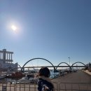 범고래 | 기대 없이 갔다가 정말 재밌었던 나고야항 수족관 후기(범고래를 직접 만나다!)