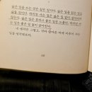 블루도어북스 첫 방문 후기: 1월의 크리스마스 트리