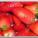 담너머집 이미지