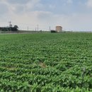 송악관광로 이미지