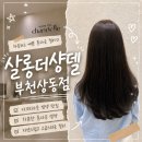[부천] 부천 미용실 살롱더샹델 부천 상동점에서 다크브라운 톤다운염색한 후기 (하람실장님)