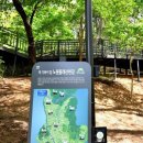 수락산 순환산책로 이미지