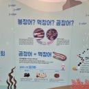 기장수산물체험홍보센터 이미지