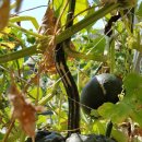 낙안민속자연휴양림 이미지