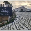 스텔라 달 마레 이미지