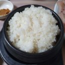 영일만식당 - 거제시 | 영일만식당