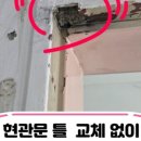고퀄수리 이미지