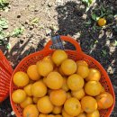 녹산2농장 이미지