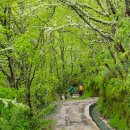순례길 화장실(간이화장실) 이미지