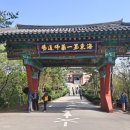 대불제일의원 이미지