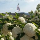 방일3리 마을회관 이미지