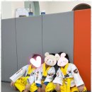 배움태권도 이미지