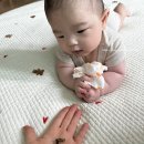 (내돈내산) 소담새김 탯줄도장 DIY 제작후기