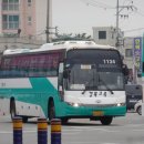 여주-1134 이미지