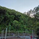 어게인캠핑B 이미지