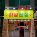 대구 대봉동 맛집 : 감성있는 실내포차에서 신선한 조개구이 하양끝집 솔직후기