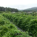 대형슈퍼 이미지