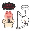 옷살래