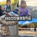 태화산체험마을 | 영월 태화산체험마을 체험 후기, 아이들과 하루 알차게 보내기