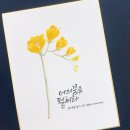 시흥사람책 시흥사람도서관 시흥캘리그라피 시흥시캘리 청소년진로탐색 예봄캘리그라피