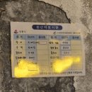 팔도강산 | 강릉 경포대 강릉횟집 조개구이 경포팔도강산 내돈내산 솔직후기