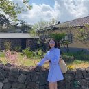 명월성 돌담집 이미지