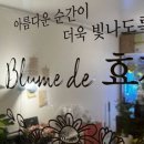 블룸드효제