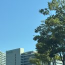 농소코트 | [거제] 거제 벨버디어 한화리조트 (거제 가볼만한 곳)