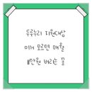 오산쌀집 | 두루누리 지원대상, 이거 모르면 매월 11만원 버리는 꼴