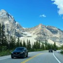 파크필드 이미지