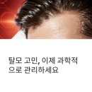 케어넷 | 종근당 케라넷 탈모샴푸 사용후기 5가지 포인트 (지성두피관리, 두피각질, 모근케어, 탈모샴푸 선택가이드)