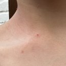 해바라기약국 | 길리 숙소 칼레이도 빌라 Kaleydo Villas Boutique Hotel 후기 (내돈내산)