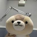 그린1급정비 | 오산 브라질리언왁싱 추천 저통증왁싱샵 W아로마왁싱 후기