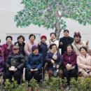 오치상설시장 이미지